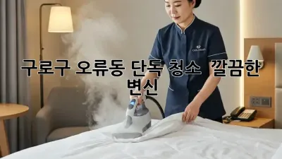 구로구 오류동 단독 청소, ✨ 깔끔한 변신! 🏠