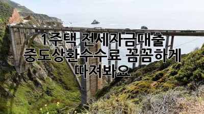 1주택 전세자금대출, 중도상환수수료 꼼꼼하게 따져봐요!