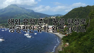 해외 유학 준비, 꿈을 현실로! ✈️ 성공적인 유학 완벽 가이드